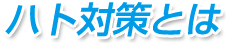 ハト対策とは